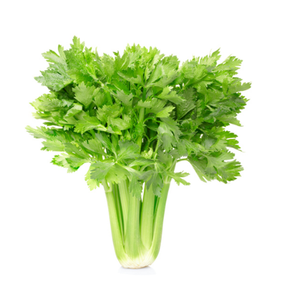 Picture of Dhoniya Pata Bij (All Season) 0.1gm Seeds Re-Pack