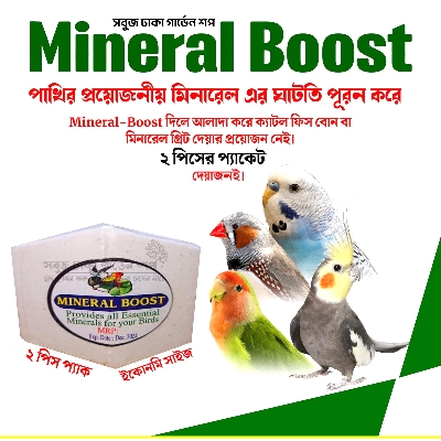 Picture of Mineral Boost (Birds Calcium & Mineral block) 2pc Pack