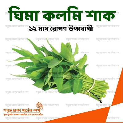 Picture of Kolmi Shak 0.1gm All Season Seeds