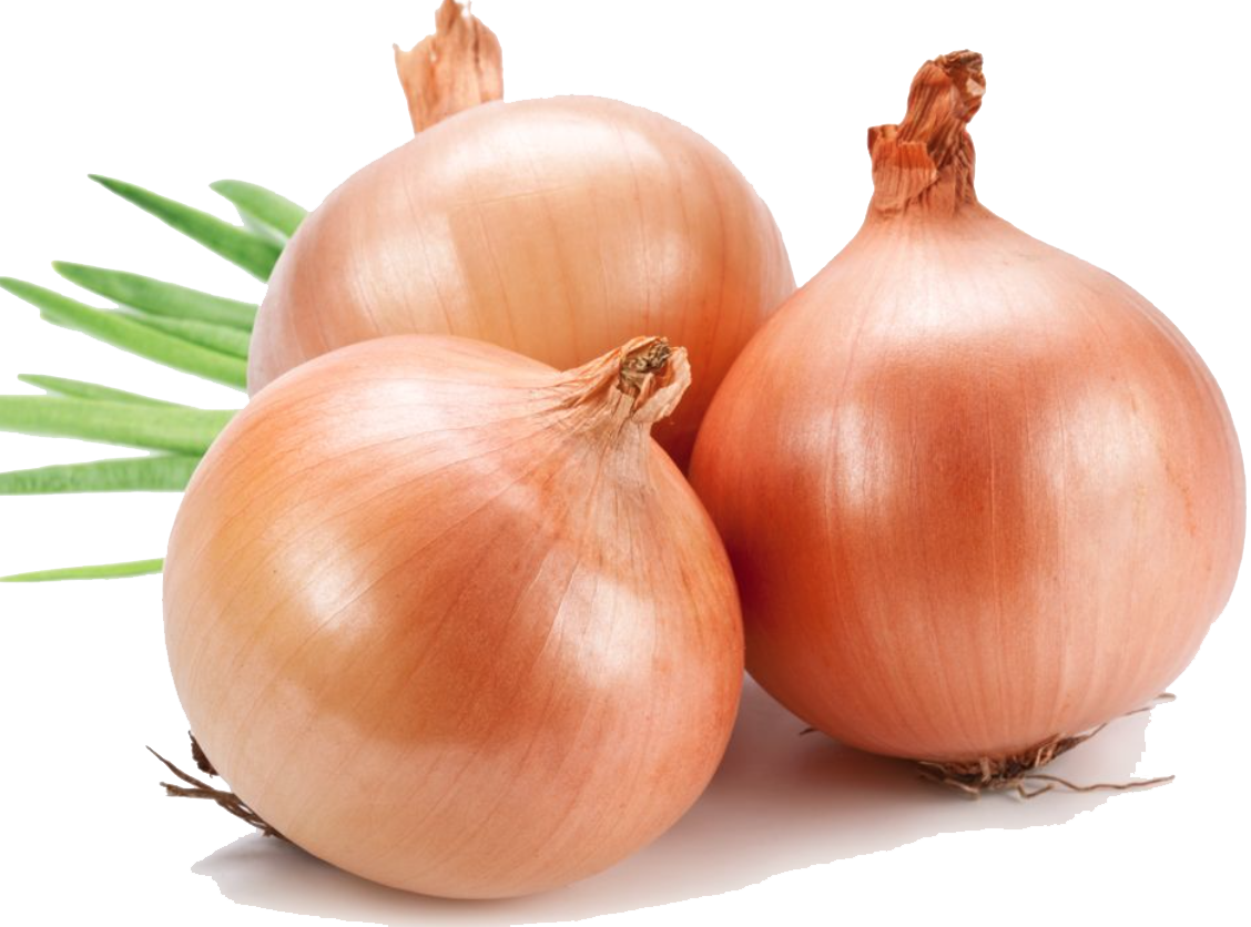 Picture of Taherpuri Onion Re-Pack ১গ্রাম Seeds