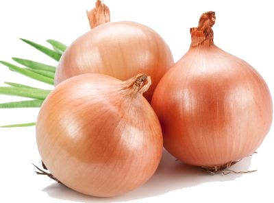 Picture of Taherpuri Onion Re-Pack ১গ্রাম Seeds