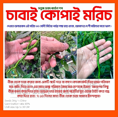 Picture of Cabe Kopay Chili Seeds 10pcs Re-Pack (China) Seeds 三世武士情侶頭像