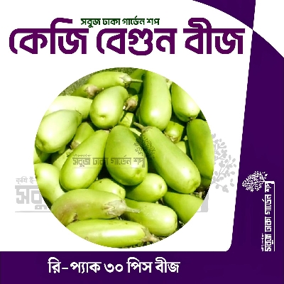 Picture of All Season keji Begun Seeds 30pcs Re-Pack