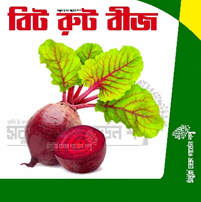 Picture of Beet Root Seeds Re-Pack F1 Hybrid (INDIAN) 0.1gm