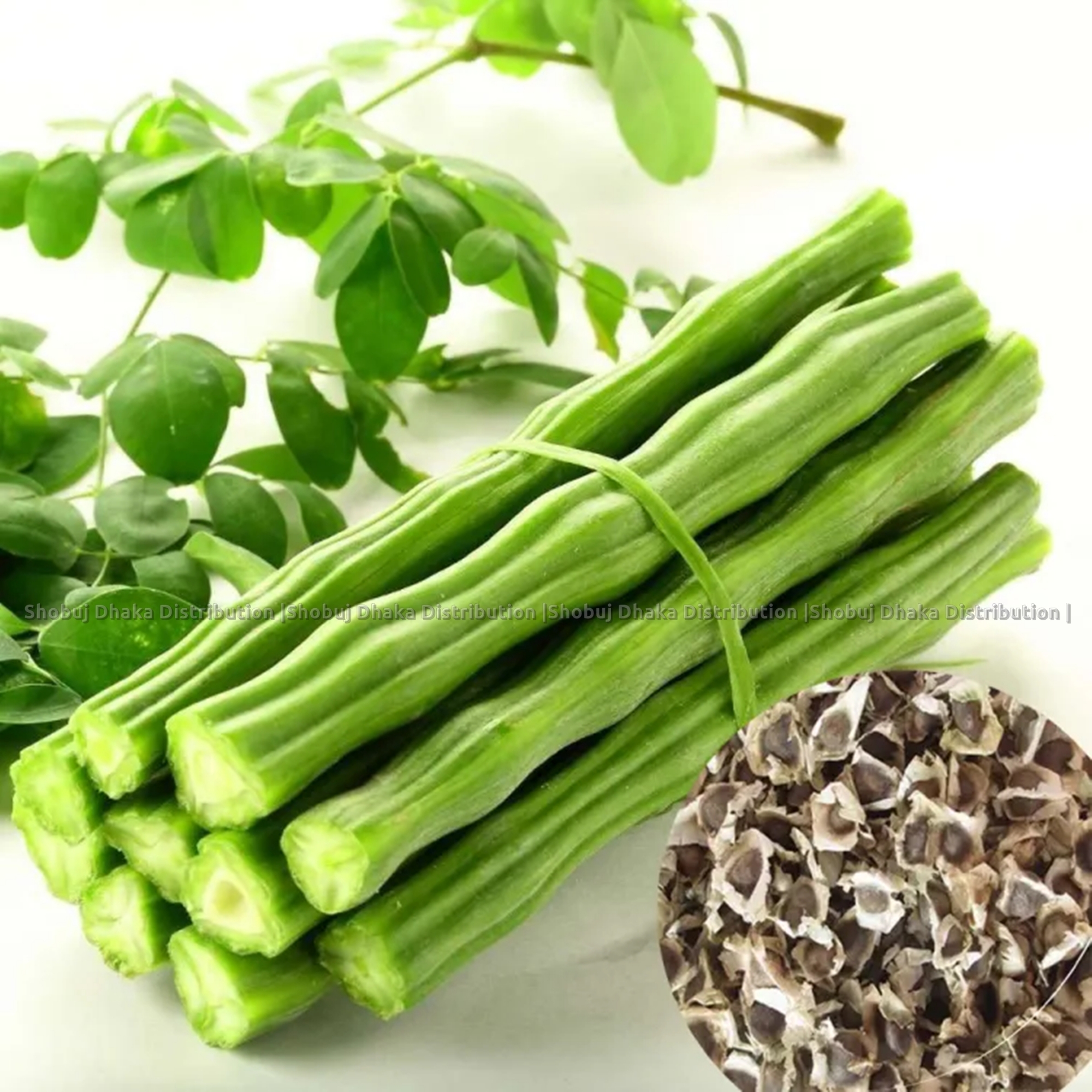 Picture of All Season ODC-3 Moringa Seeds - 5pcs Re-Pack (Indian)