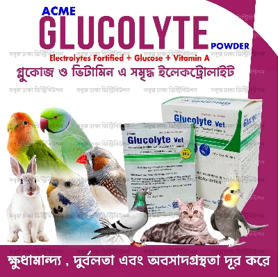 Picture of Glucolyte Vet POWDER 25gm Pack (পশুপাখির জন্য গরমের স্যালাইন)