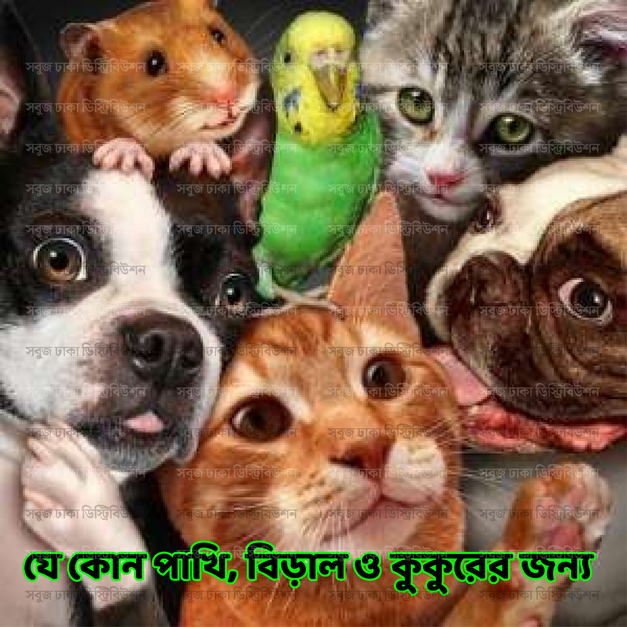 Picture of Glucolyte Vet POWDER 25gm Pack (পশুপাখির জন্য গরমের স্যালাইন)