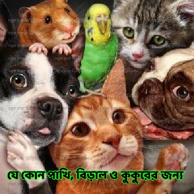 Picture of Glucolyte Vet POWDER 25gm Pack (পশুপাখির জন্য গরমের স্যালাইন)