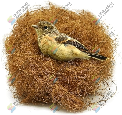 Picture of Comfortable Nest Building Materials for Birds (Sterilized & Washed) Pakhir Basha For 1 Pair Bird