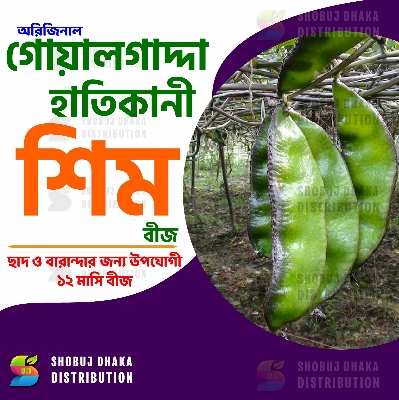 Picture of All Season Goalgadda Shim Seeds 5GM RE-PACK