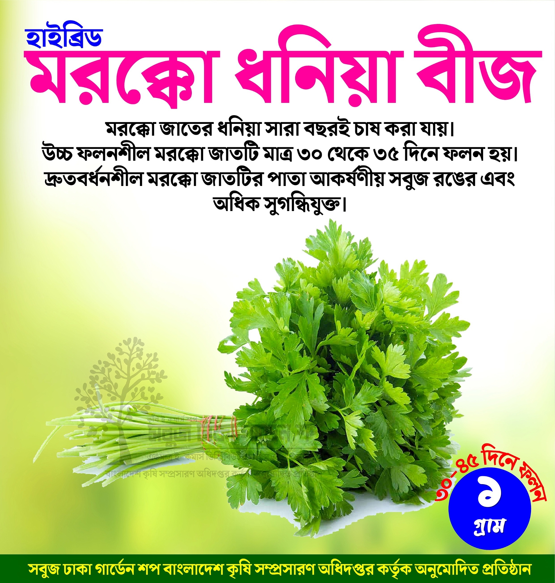 Picture of Deshi Dhoniya Pata Bij 1gm Seeds Re-Pack