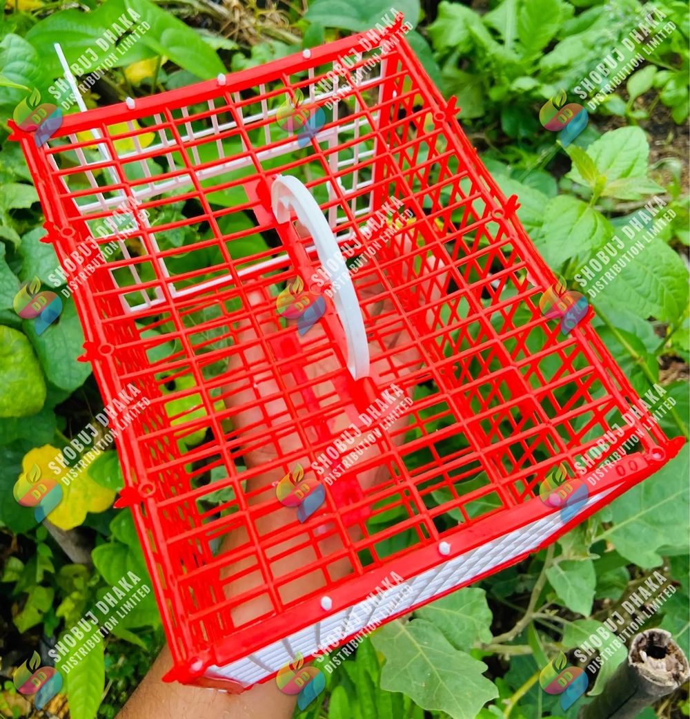 Picture of Birds Carrying Cage Only for Small Birds 1pc (Folding) Mix Color 8x6inch