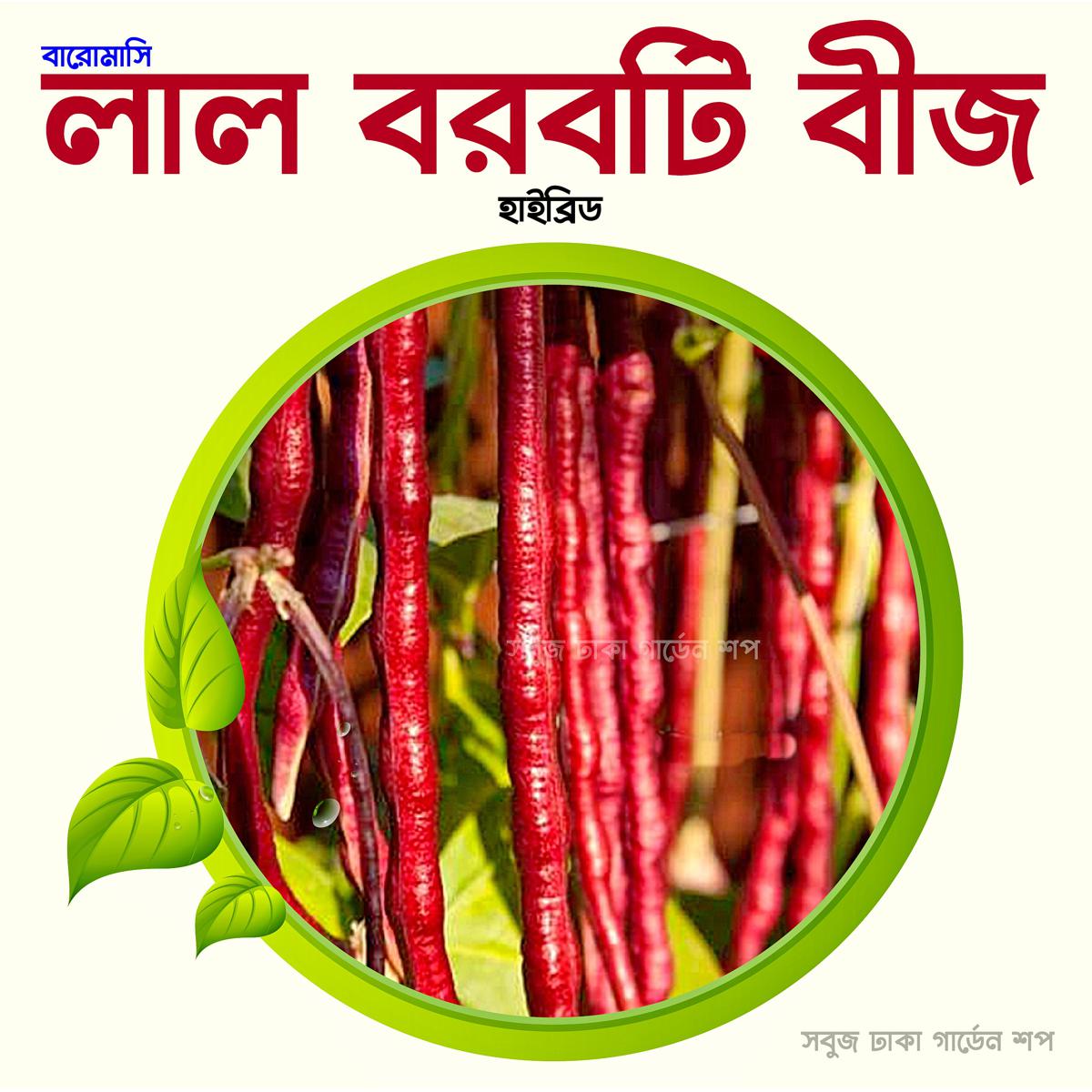 Picture of Thai Red Borboti (Long Bean)