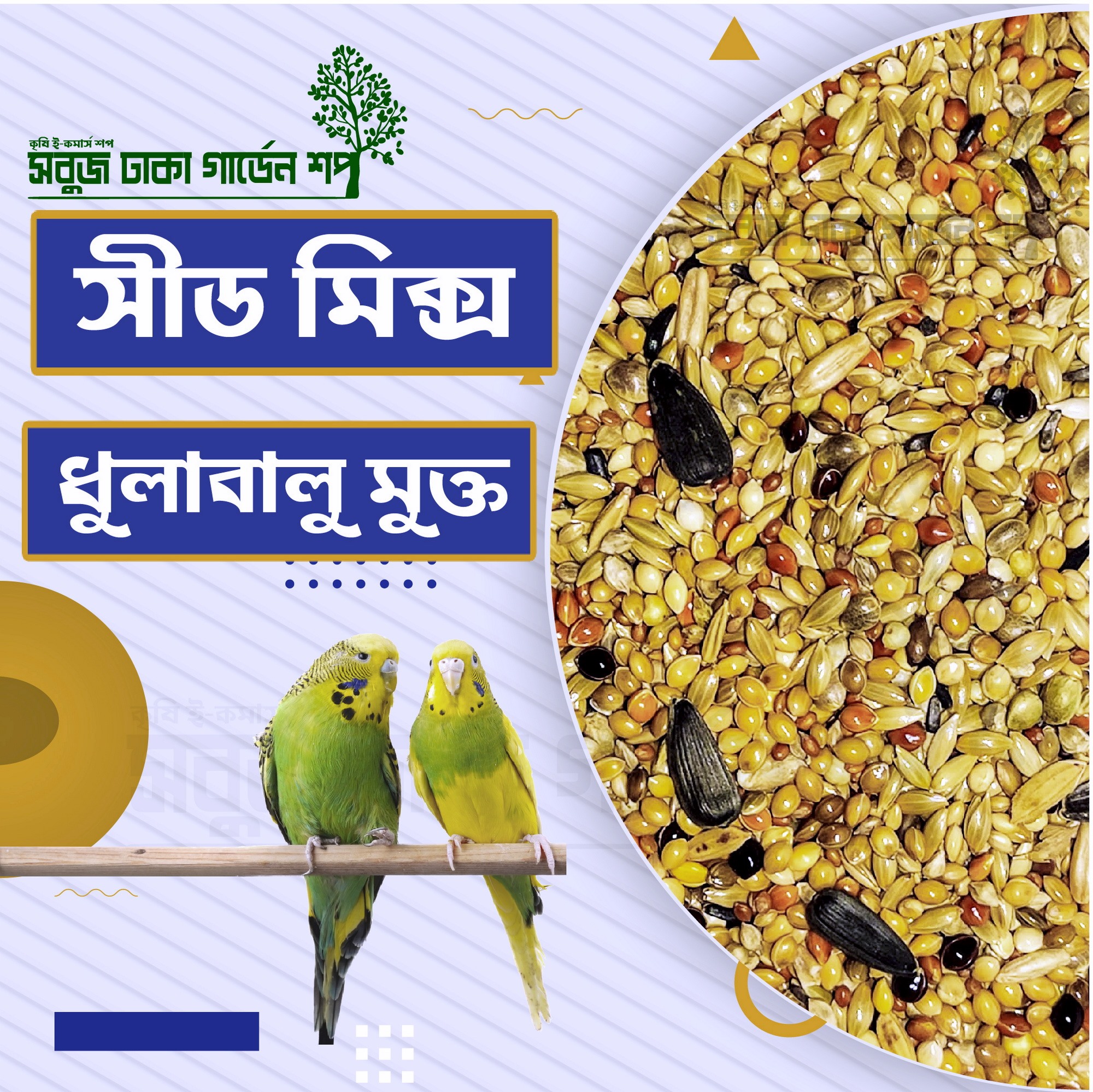 Picture of Seed mix for Budgerigar - Half KG Pack (Washed & Clean)