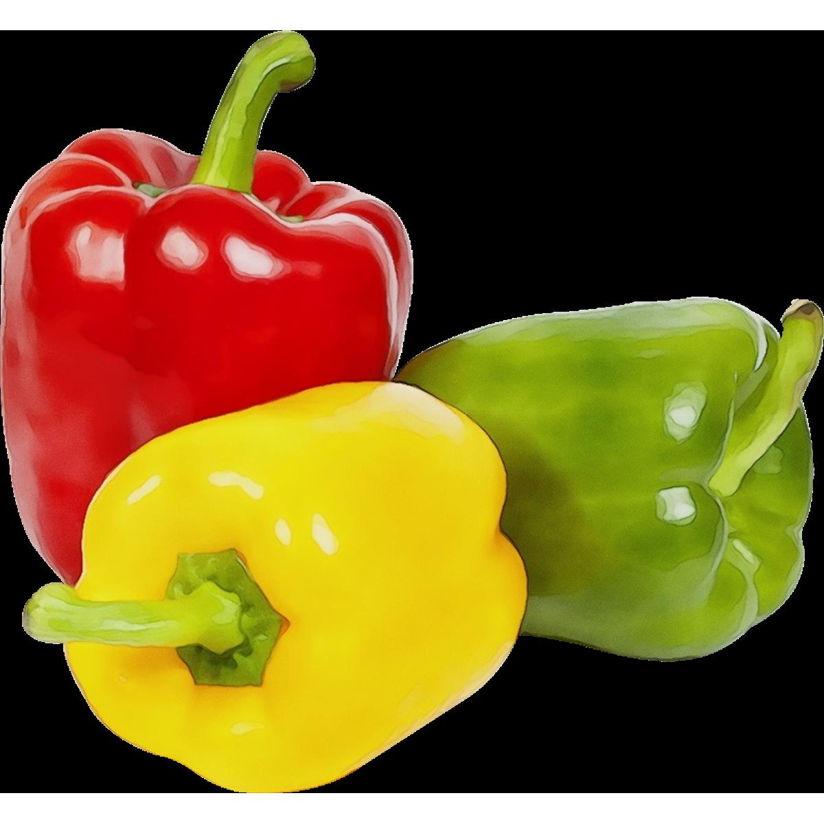 Picture of Capsicum Seeds 10 pcs Mixed Color RE_PACK