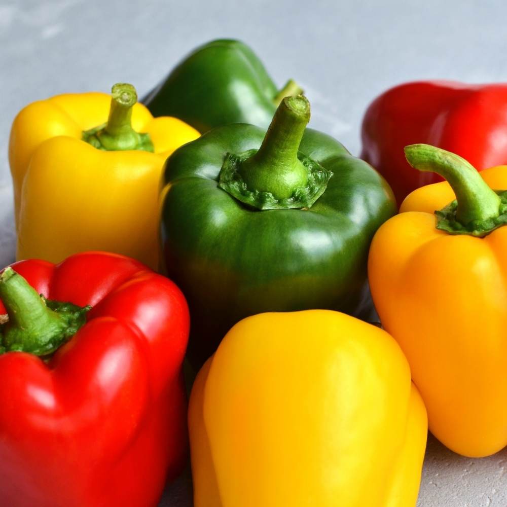 Picture of Capsicum Seeds 10 pcs Mixed Color RE_PACK
