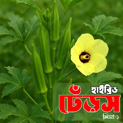 Picture of Hybrid Dherosh (Bhendi) Okra Seeds 2gm
