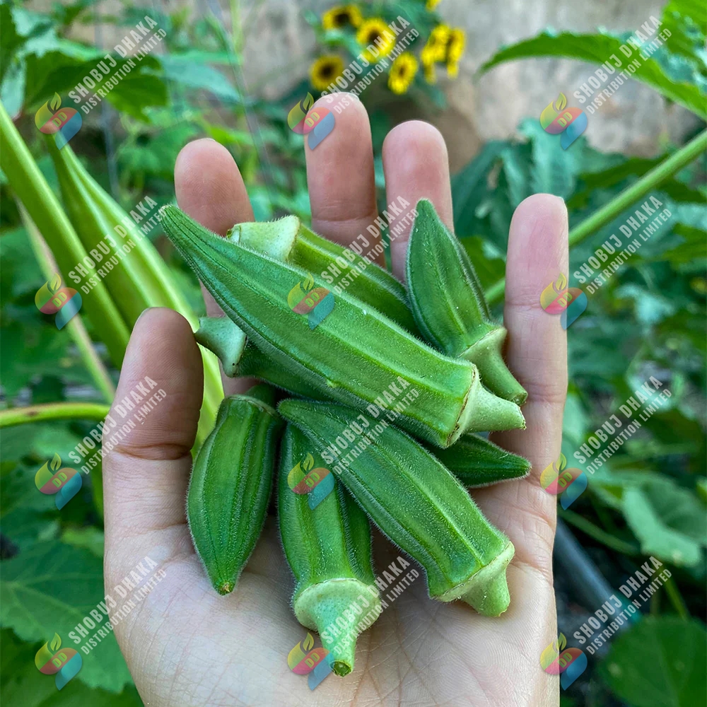 Picture of Hybrid Dherosh (Bhendi) Okra Seeds 2gm