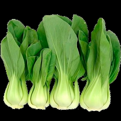 Picture of Bok Choy Seeds 100+pcs Re-Pack