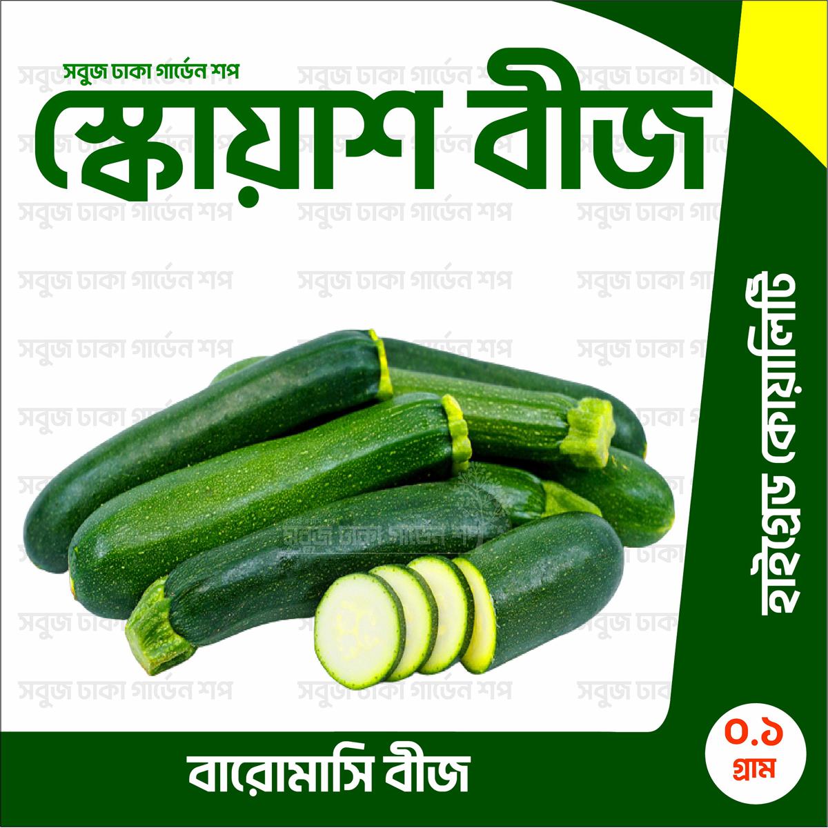 Picture of HYV. Squash Seeds 5pcs