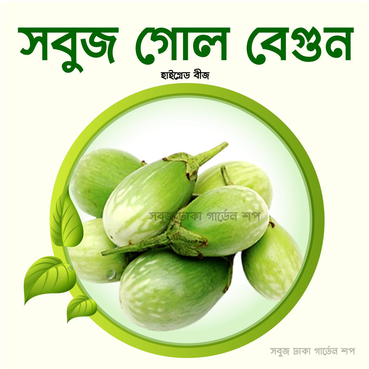 Picture of Round Green Brinjal Seeds 0.1gm