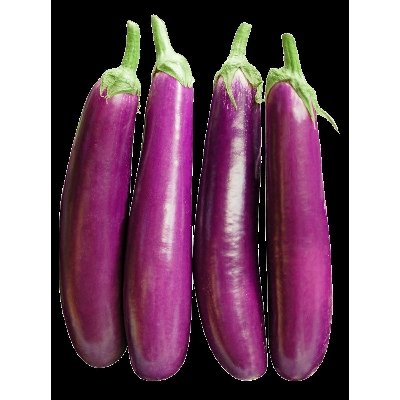 Picture of Shing Nath Long Brinjal Seeds 30pcs Seeds