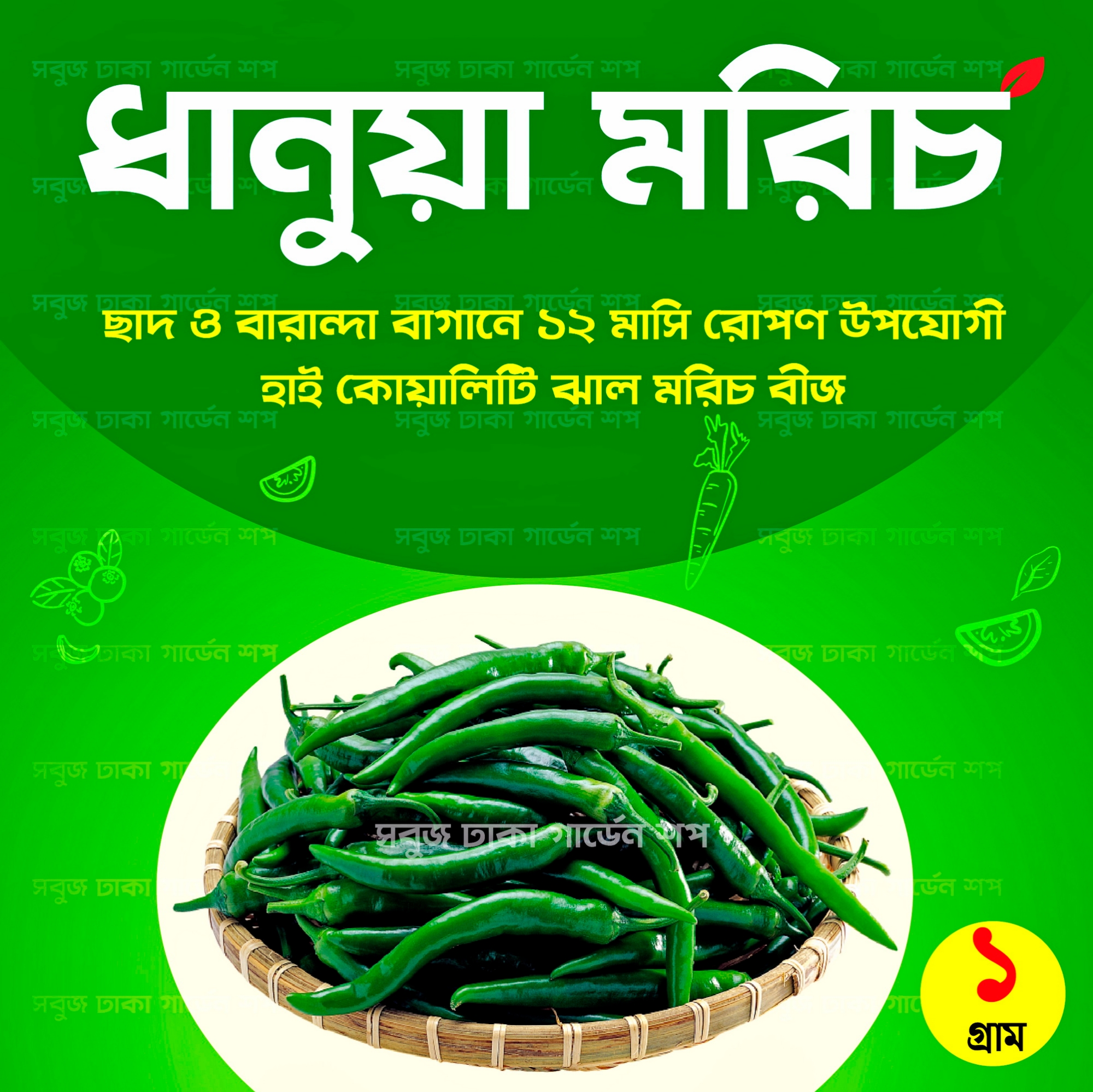 Picture of All Season Chili Seeds 0.1gm