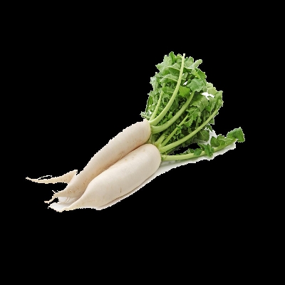 Picture of White F1 Radish Seeds 0.1gm Intact Pack