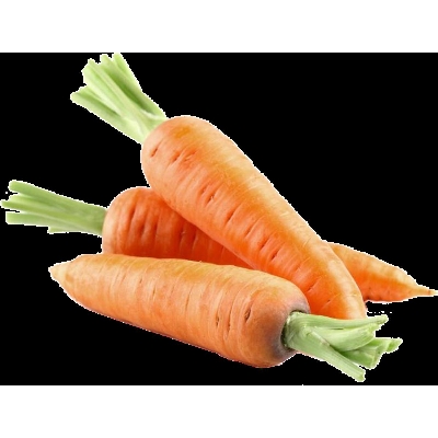 Picture of Carrot Seeds 0.1gm