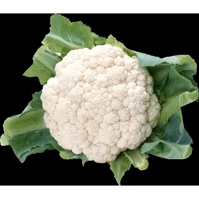 Picture of Cauliflower Seeds 0.1gm
