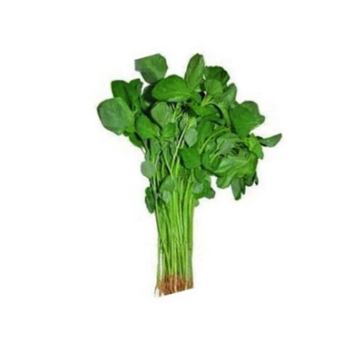 Picture of Shobuj Shak Seeds 100+