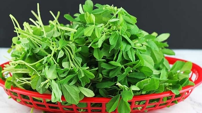 Picture of Supervit (Plants Micronutrients) 100gm