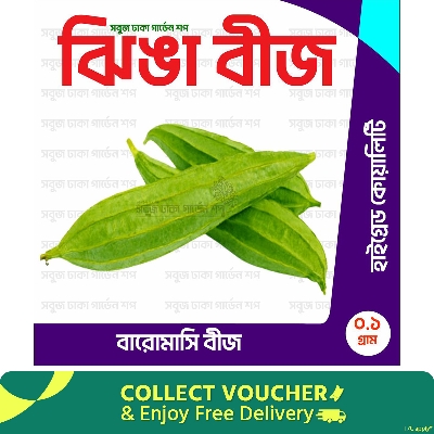 Picture of All Season Jhinga Seeds