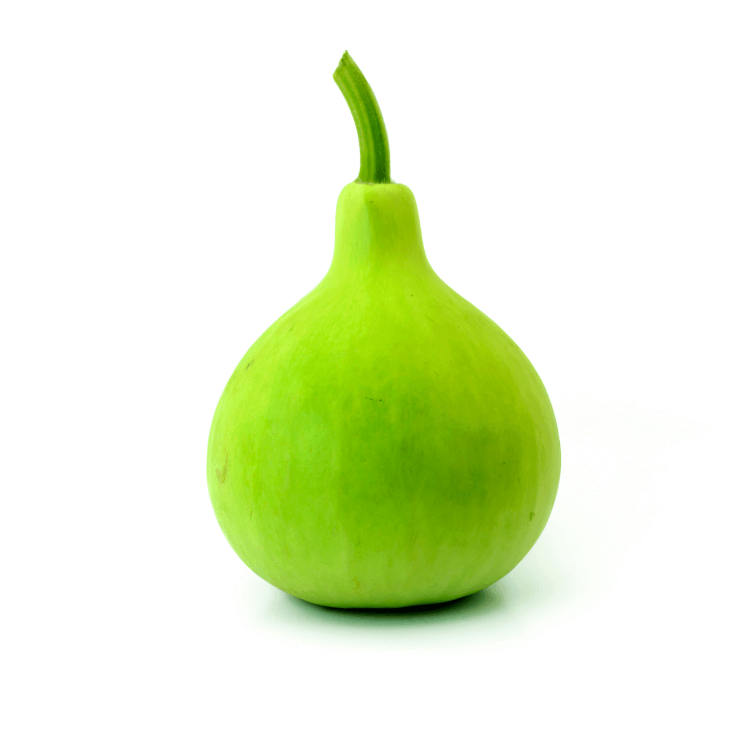 Picture of Round Bottle gourd 0.1gm Seeds