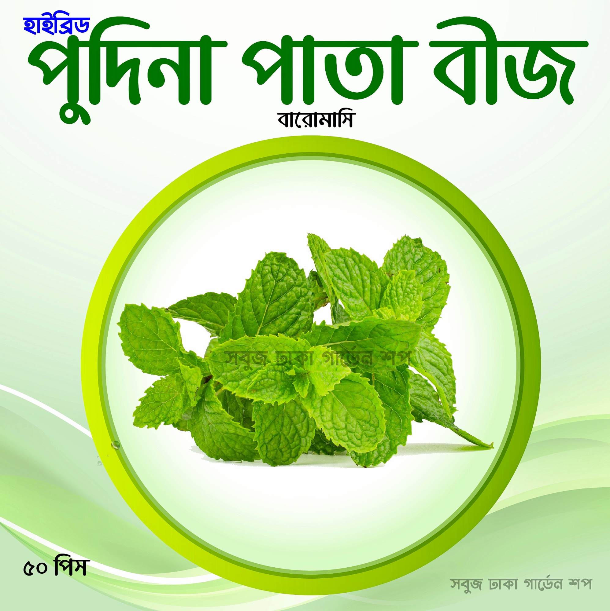 Picture of Pudina Mint Seeds 100pcs