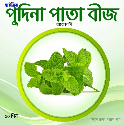 Picture of Pudina Mint Seeds 100pcs