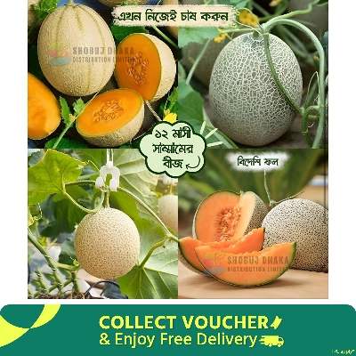 Picture of Sammam Fruit Seeds 5pcs Hybrid Seeds