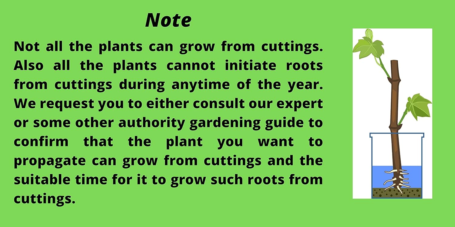 Picture of Rooting Hormone Powder (Re-Pack Indian For Any Plant