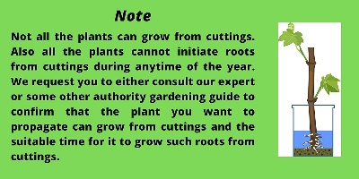 Picture of Rooting Hormone Powder (Re-Pack Indian For Any Plant