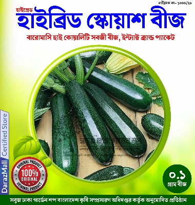 Picture of Squash Seeds  - স্কোয়াশ বীজ 5pcs