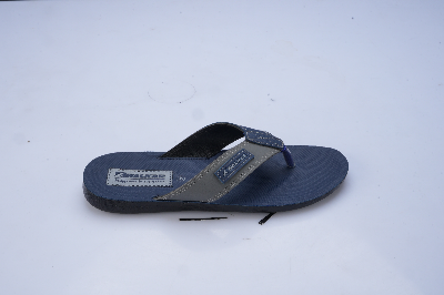 Picture of Men's Sandal Striker Blue