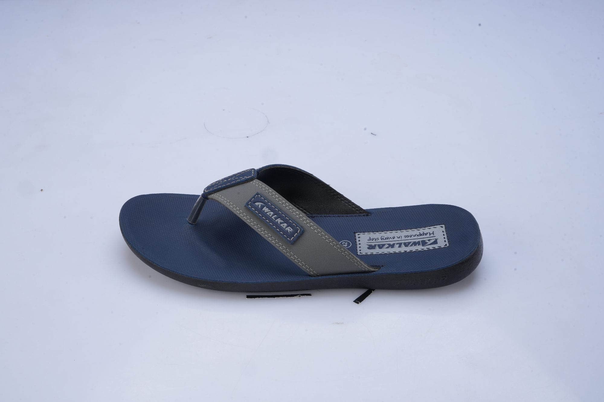 Picture of Men's Sandal Striker Blue