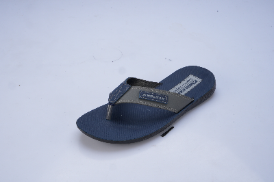 Picture of Men's Sandal Striker Blue