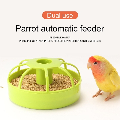 Automatic Bird Feeding Box