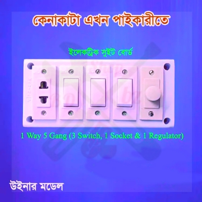 Picture of Electric Switch Board with socket & Regulator (Changeable)