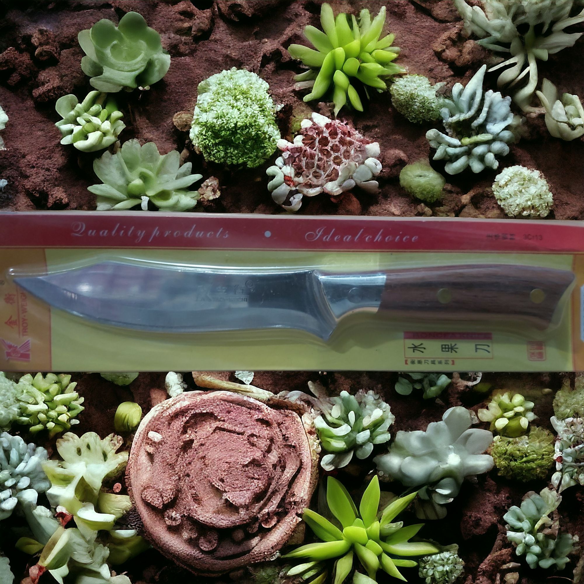 Picture of Kitchen Fruit Cutter/Vegetable Cutter/Salad Cutter -Sindabad