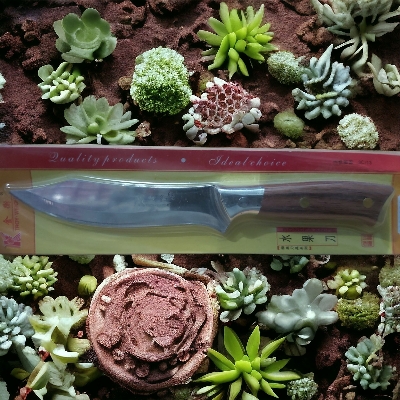 Picture of Kitchen Fruit Cutter/Vegetable Cutter/Salad Cutter -Sindabad