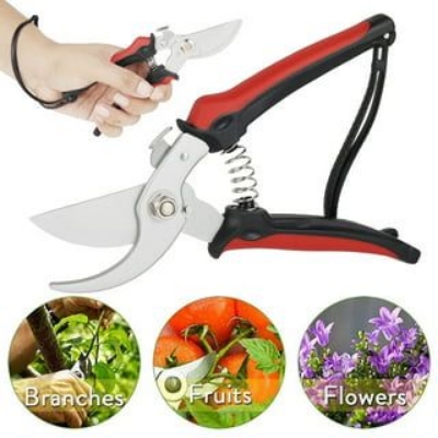 Picture of Professional 8 Inch Garden tree cutter/ Fruit tree pruning shears/ Bonsai pruners gafling cutter (Red & white)