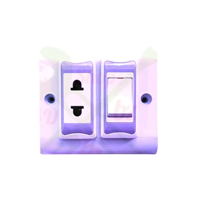 Picture of Electric Switch with Socket (Combo) 2 hole Switch board with Back part/tola Ash