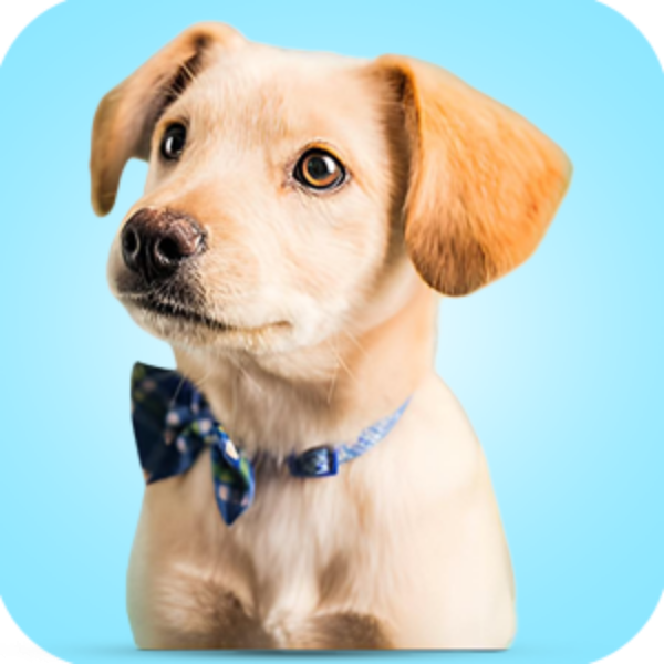 Picture for category Pet Care